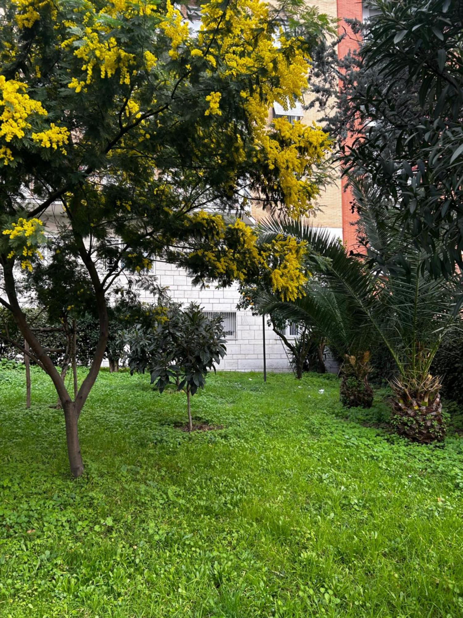 Bam Bam Tiburtina Guesthouse Рим Экстерьер фото